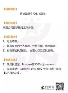 基金公司营销助理与品牌策划 市场营销实习的双重角色解析