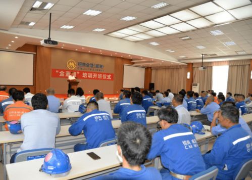 信息技术咨询服务赋能就业 市人社局以精准服务促更高质量更充分就业